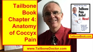 Chapter 4 of Tailbone Pain Book, ANATOMY of Coccyx Pain