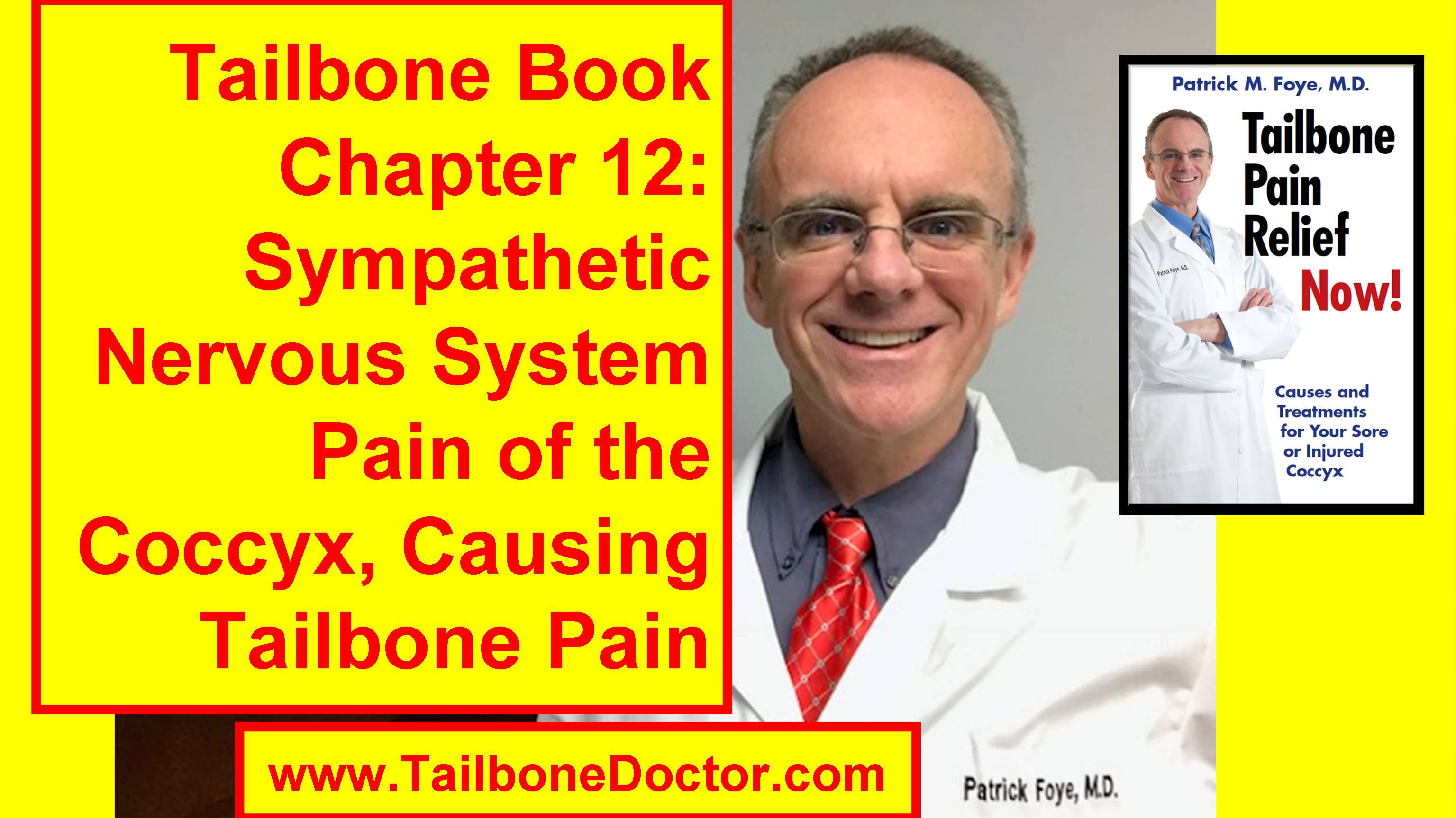 Coccyx Book overview: “Tailbone Pain Relief Now!” Infographic